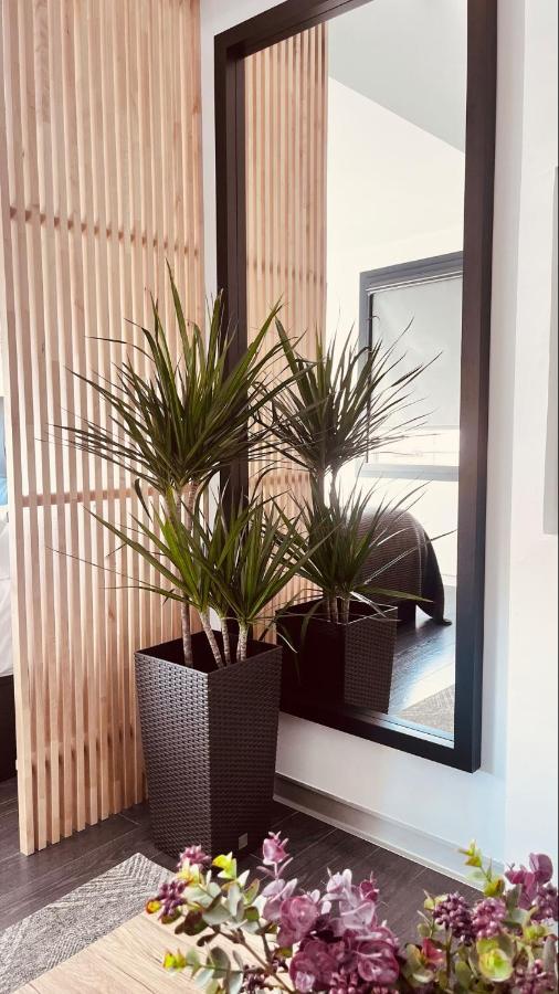 Plasencia Plaza Mayor Luxury מראה חיצוני תמונה